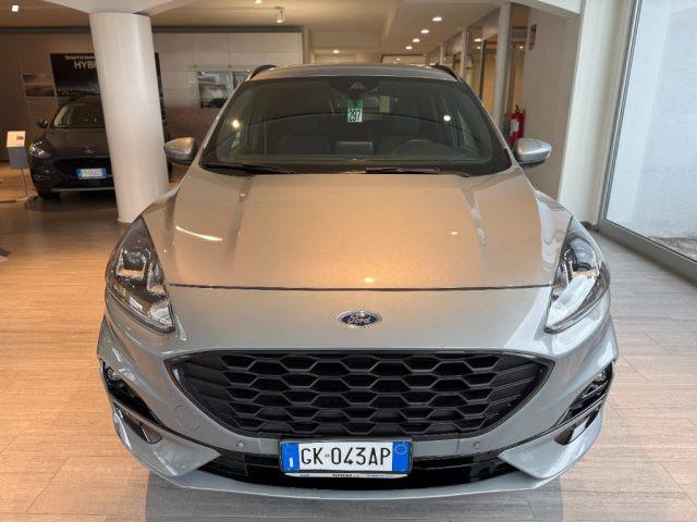 FORD Kuga 1.5 EcoBlue 120 CV 2WD ST-Line