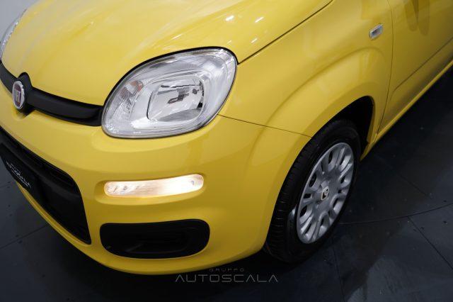 FIAT New Panda My25 1.0 FireFly S&S Hybrid