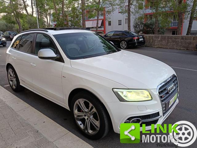 AUDI Q5 3.0 V6 TDI 245 CV quattro Advanced Plus SQ5