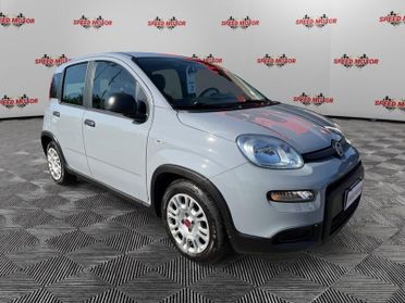 FIAT Panda Panda 1.0 firefly hybrid 70cv, CARPLAY, PRONTA CONSEGNA!