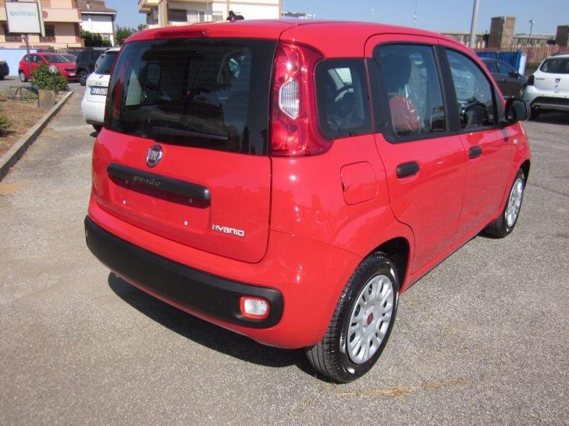 FIAT Panda HYBRID MY24 1.0 FireFly S&S * NUOVE *