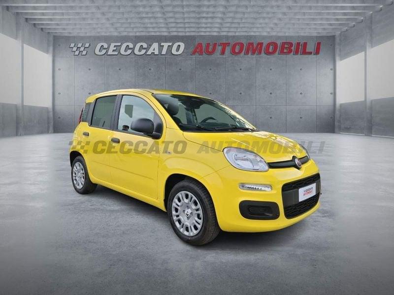 FIAT Panda Panda 1.0 70cv Hybrid Icon