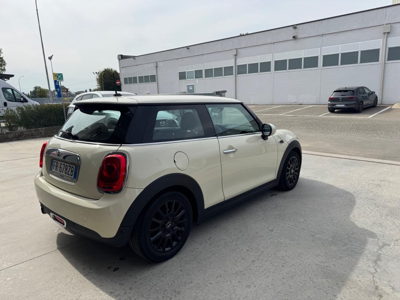 Mini 1.5 One D Hype