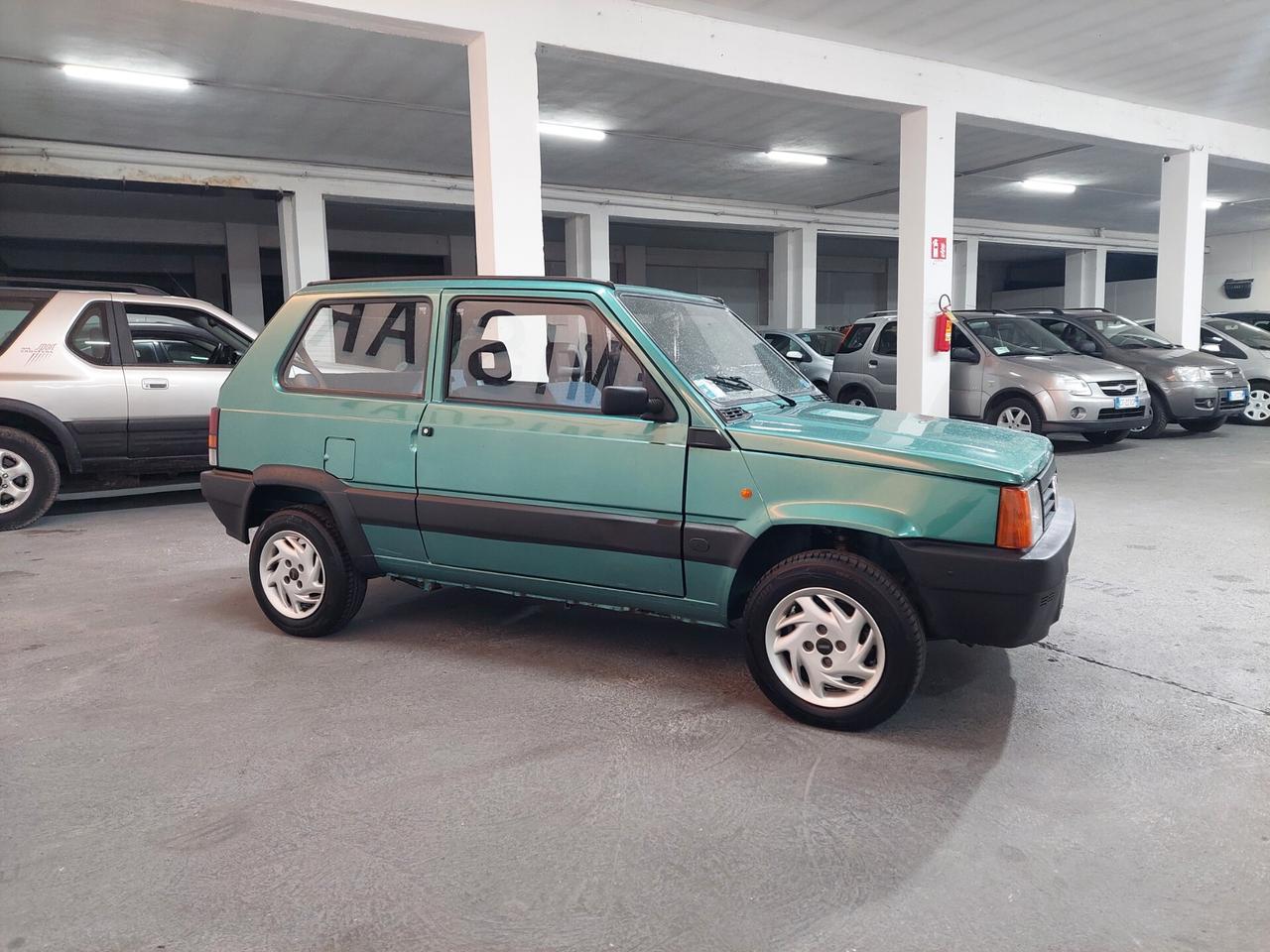 Fiat Panda 1100 i.e. cat Young