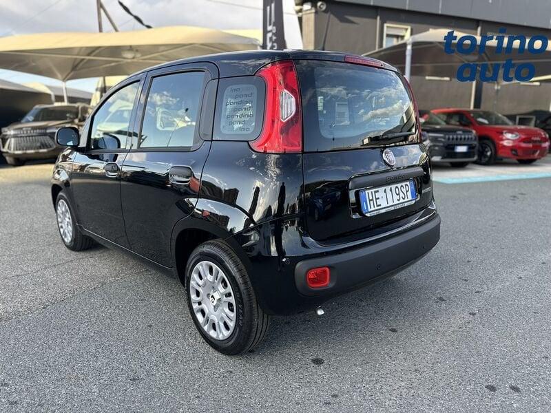 FIAT Pandina Pandina 1.0 firefly hybrid Icon s&s 65cv