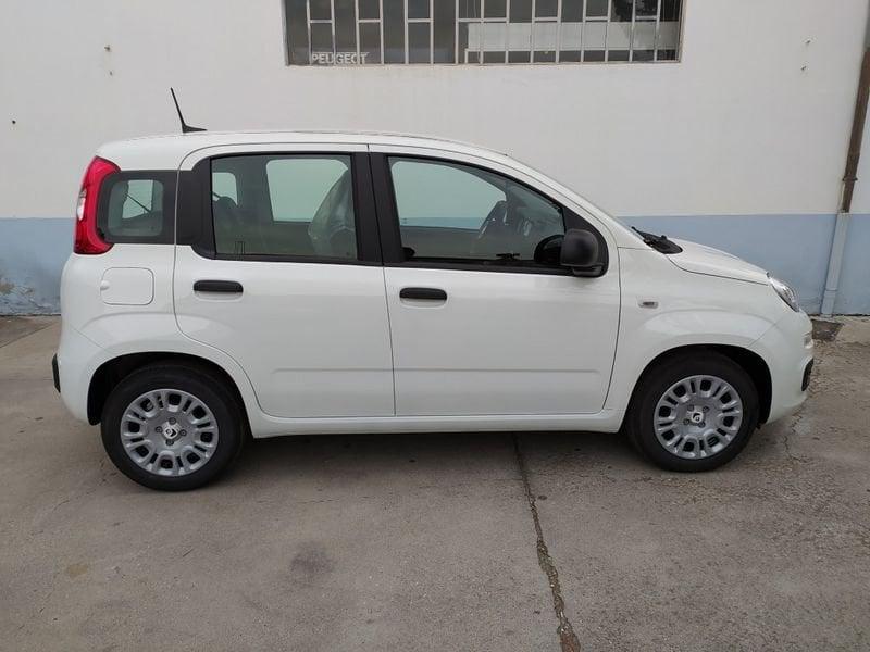 FIAT Pandina Pandina hybrid Icon 65 Promo CBC 5