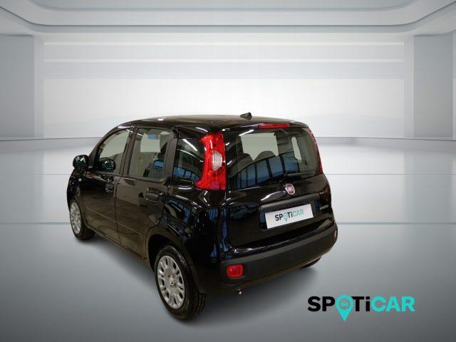 FIAT Panda 1.0 FireFly S&S Hybrid Icon