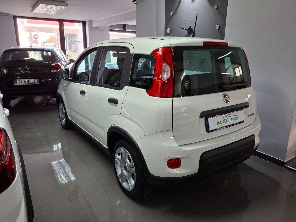 FIAT - Panda - 1.0 FireFly S&S Hybrid