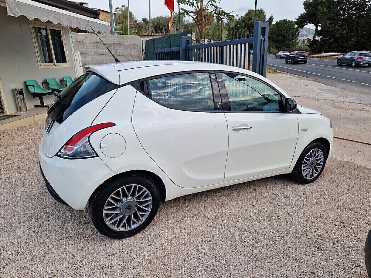 Lancia Ypsilon 1.3 MJT 16V 95 CV 5 porte S&S Platinum