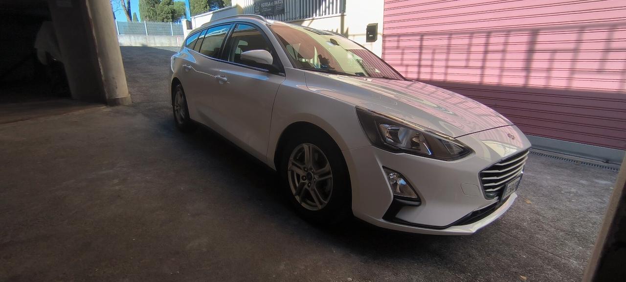 Ford Focus 1.5 EcoBlue 120 CV automatico SW Business Co-Pilot