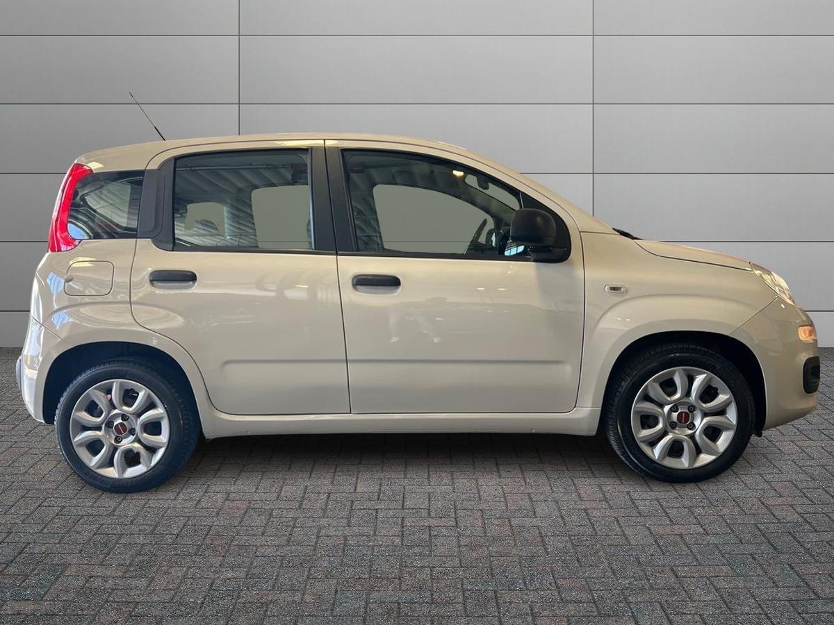 FIAT Panda 3ª serie - Panda 1.2 Pandazzurri