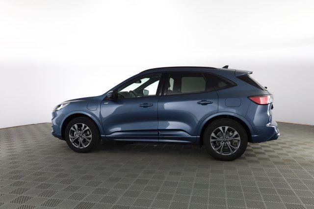 FORD Kuga Kuga 2.5 Plug In Hybrid 225 CV CVT 2WD ST-Line