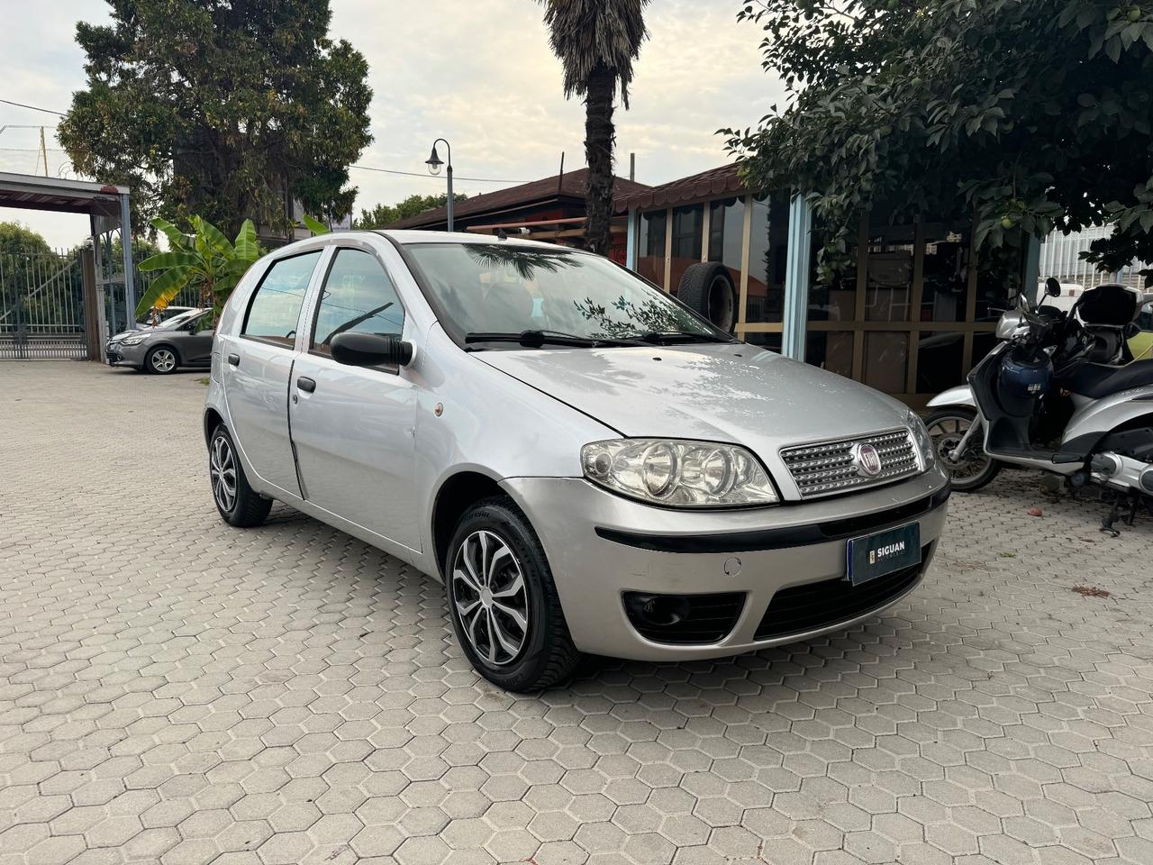 Fiat Punto ADATTA A NEOPATENTATI 1.2 5 porte Active