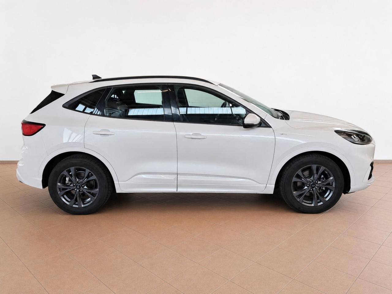 Ford Kuga 2.0 EcoBlue 150 CV aut. AWD ST-Line