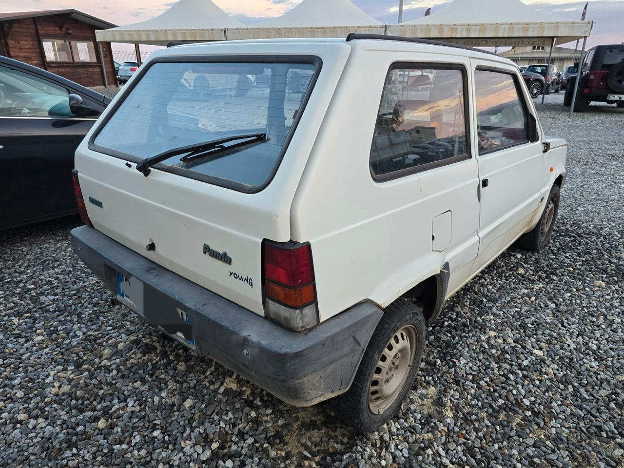 Fiat Panda 900 i.e. cat Young