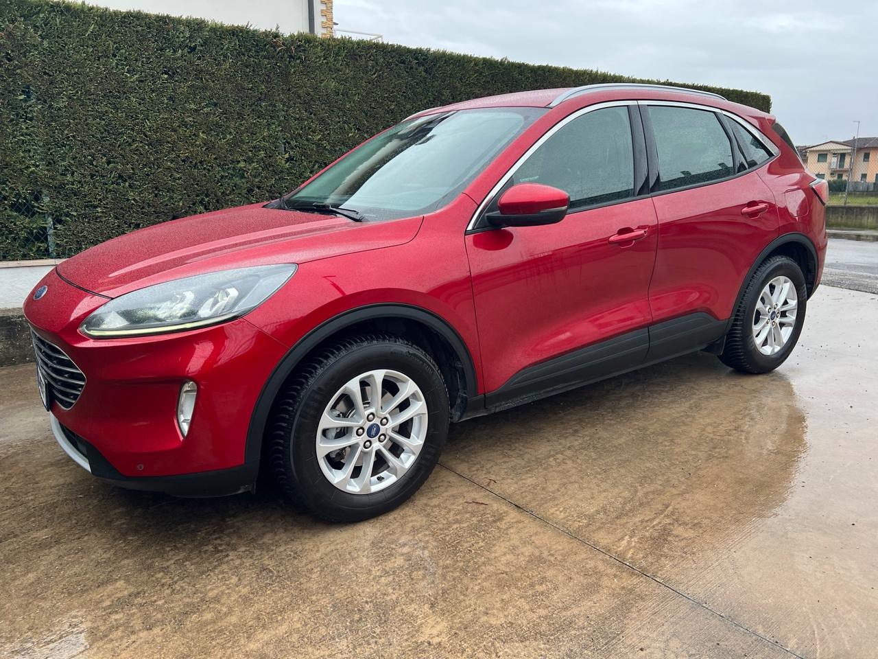 Ford Kuga 2.0 EcoBlue Hybrid 150 CV 2WD Titanium Business