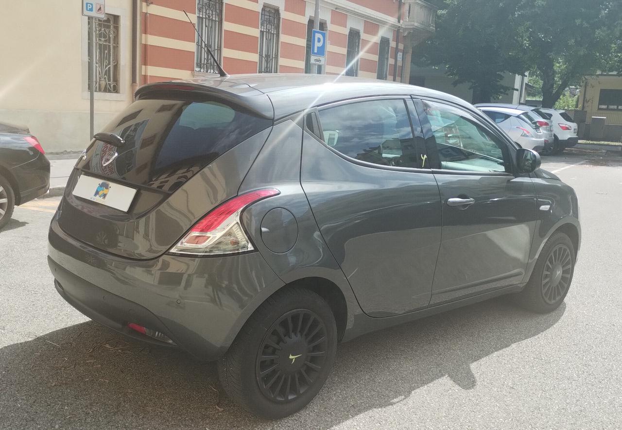Lancia Ypsilon 1.2 69 CV 5 porte Elefantino NEOPATENTATI