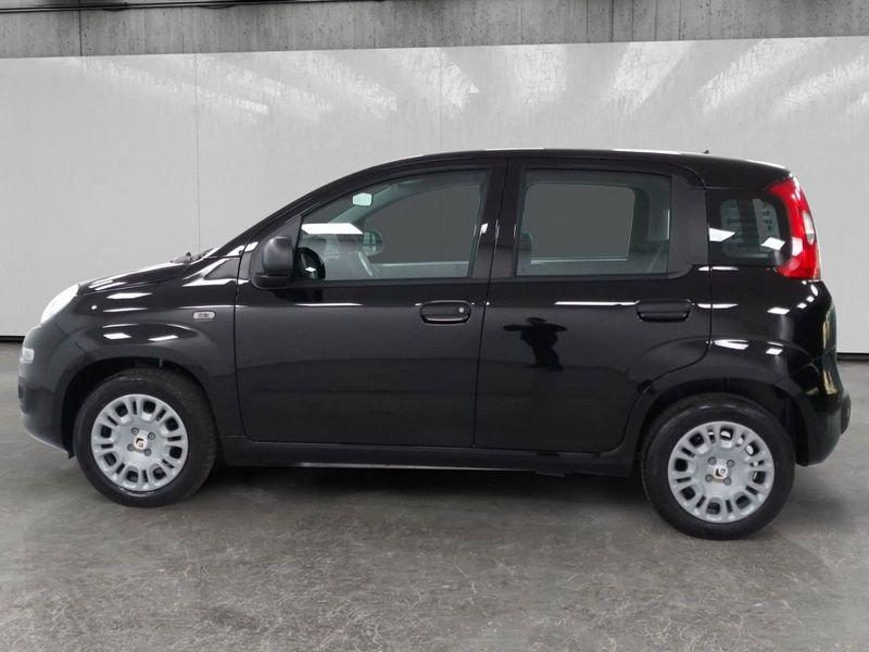 FIAT Pandina 1.0 firefly hybrid Pop s&s 70cv