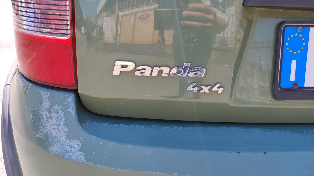 Fiat Panda 1.3 MJT 16V 4x4 Glam NEOPATENTATI - 2010
