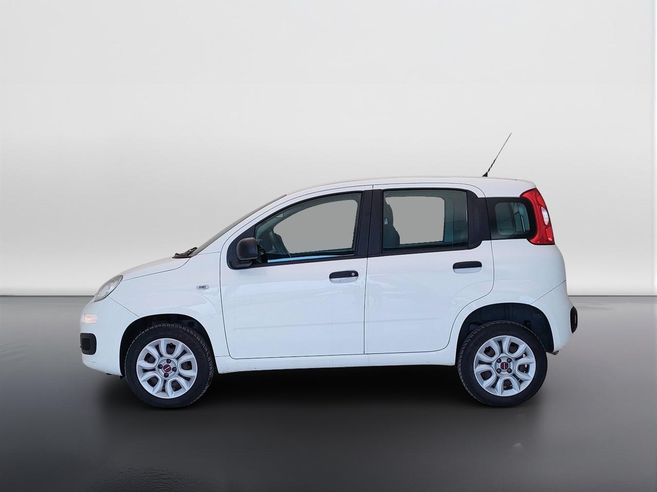 FIAT Panda III 2016 - Panda 0.9 t.air t. natural power Easy 80cv my19