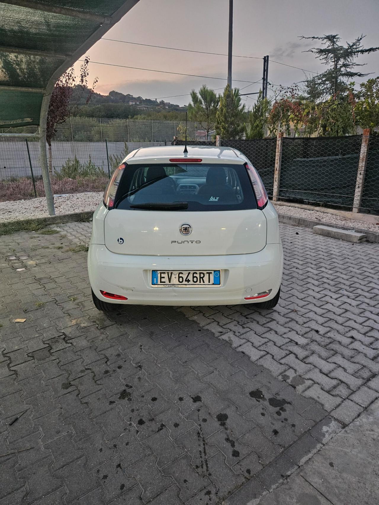 Fiat Punto 1.3 MJT II 75 CV 5 porte Lounge