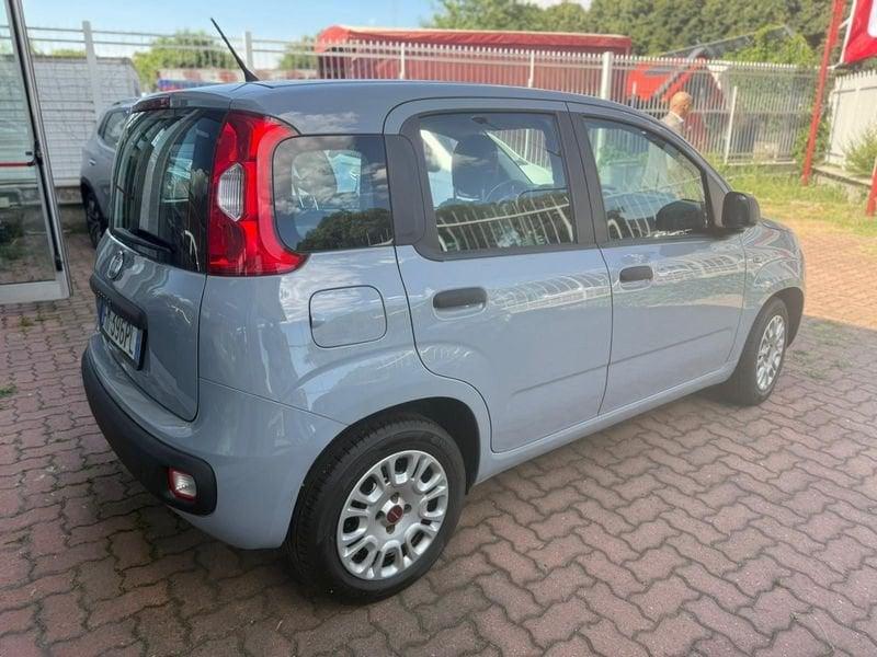 FIAT Panda 3ª serie 1.2 Easy