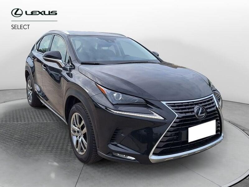 Lexus NX Hybrid 4WD Premium