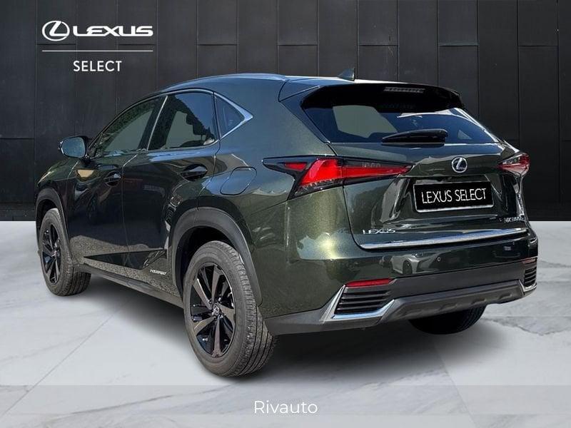 Lexus NX 300 h 2.5 Premium 4wd cvt