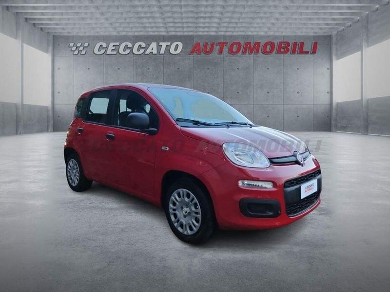 FIAT Panda Panda 1.0 70cv Hybrid Icon