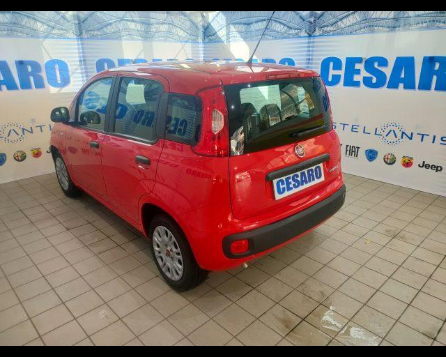 FIAT New Panda 1.0 firefly hybrid 70cv 5 posti