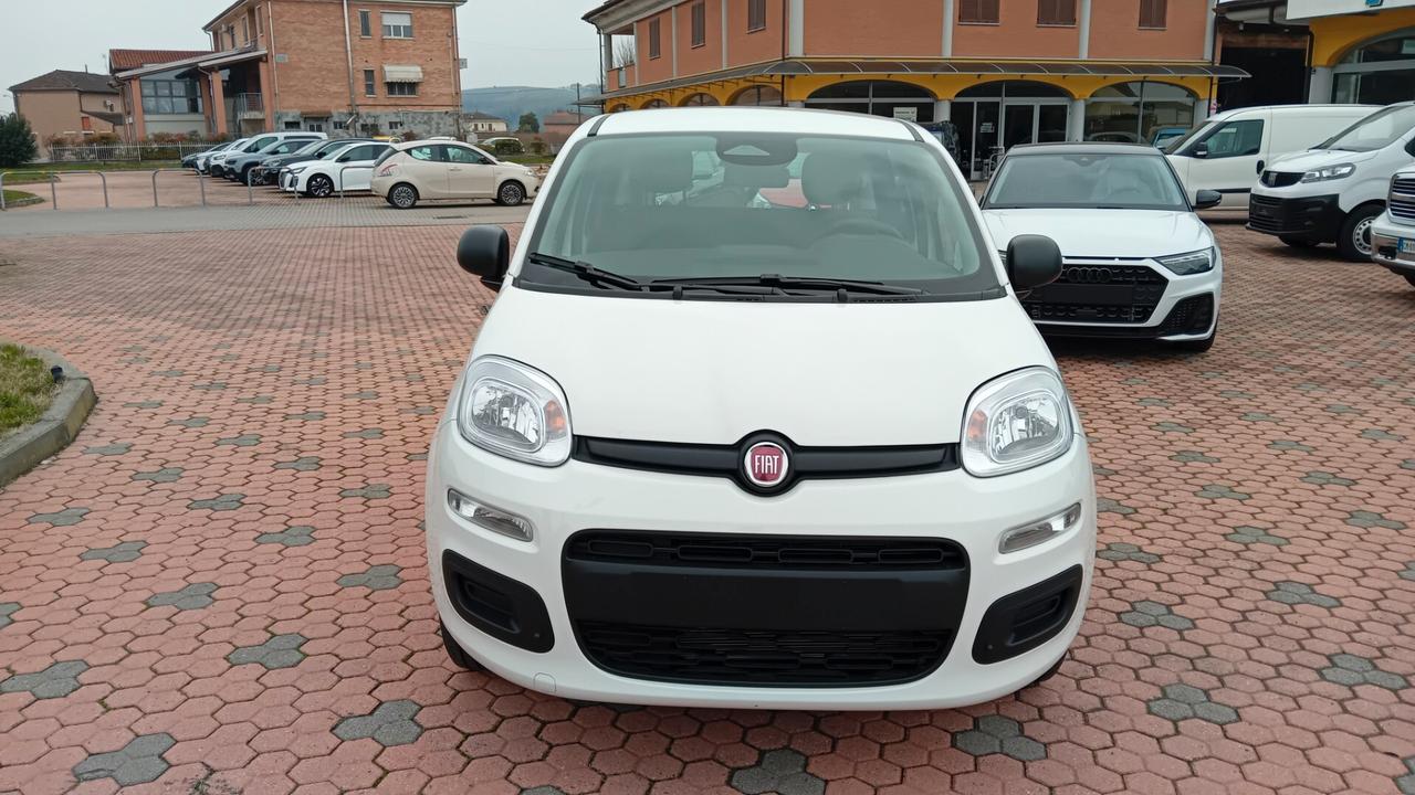 Fiat Panda Pandina 1.0 FireFly 65 CV Hybrid Icon *SENZA VINCOLI DI FINANZIAMENTO*