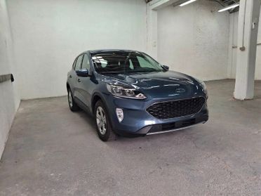 FORD Kuga 3ª serie Kuga 1.5 EcoBlue 120 CV 2WD...