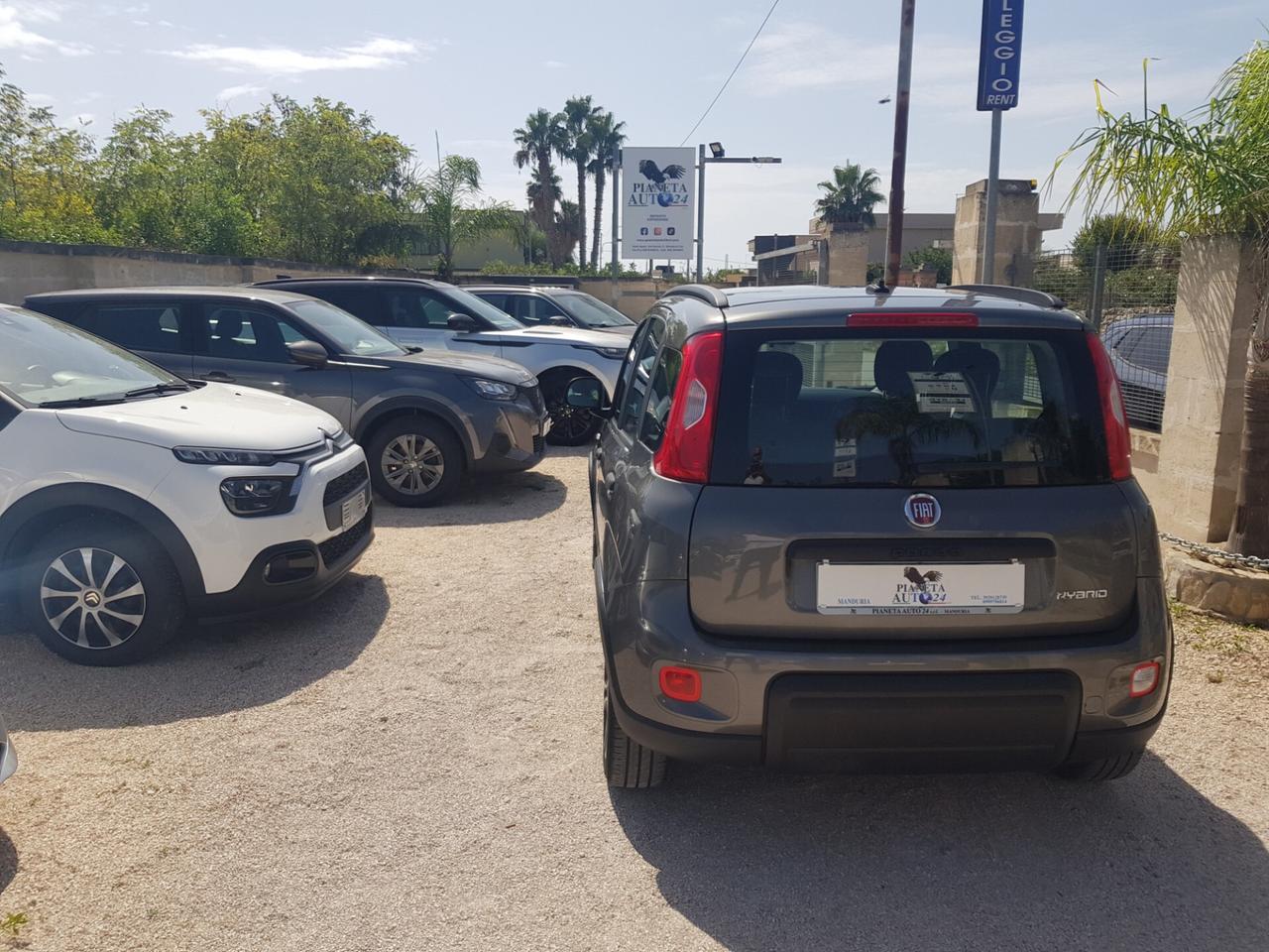 Fiat Panda 1.0 firefly hybrid City Life s&s 70cv 5