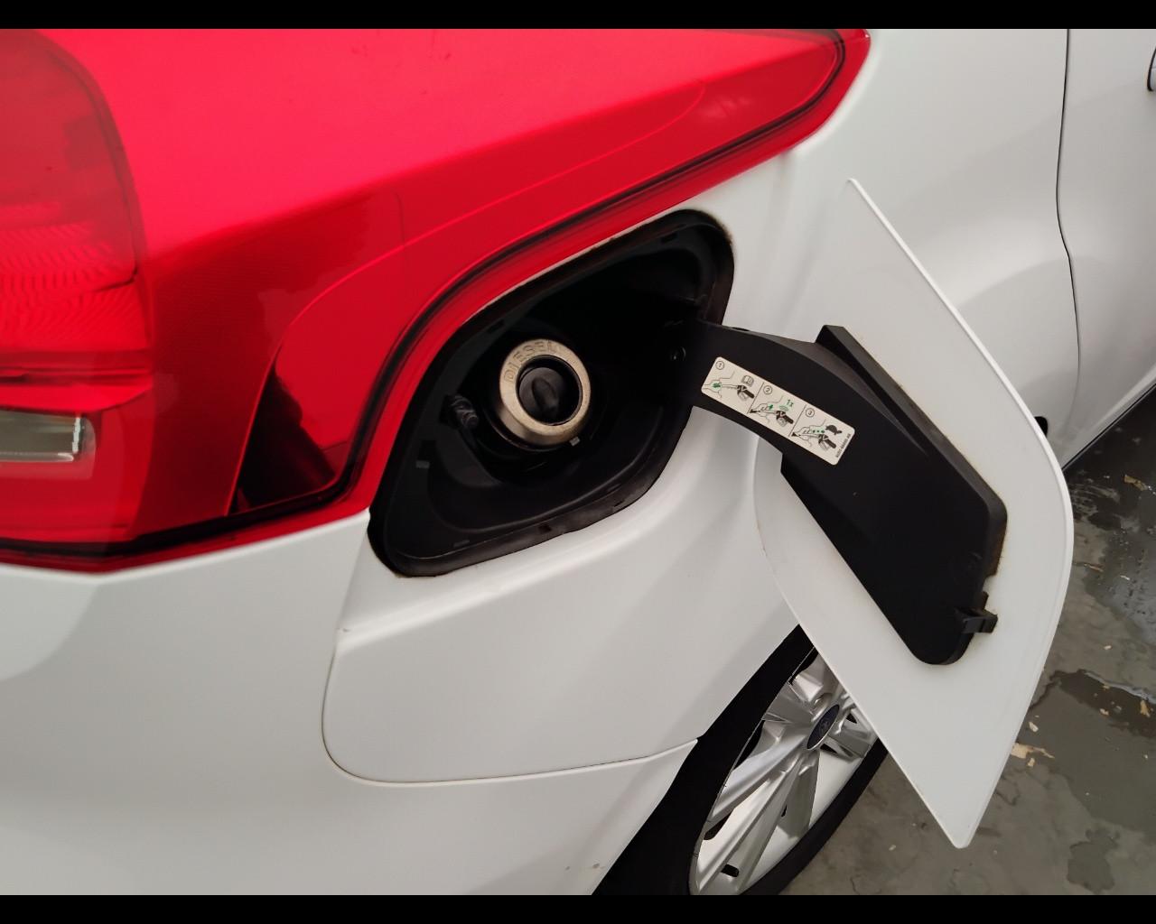 FORD Focus IV 2015 - Focus 5p 1.5 tdci Titanium s&s 120cv