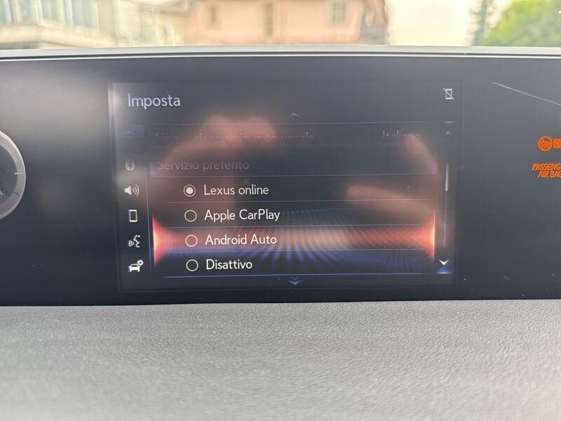 Lexus UX UX 250 Hybrid 4WD Midnight
