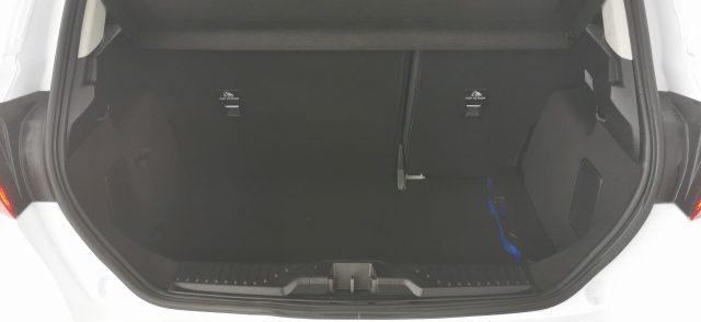 FORD Fiesta 1.5 EcoBlue 5 porte Business