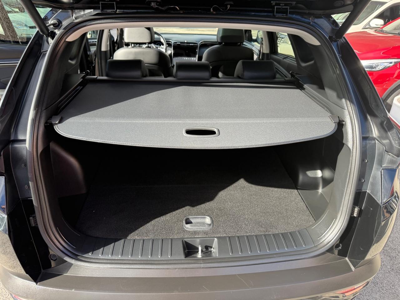Hyundai Tucson 1.6 HEV aut.Exellence TETTO 19'