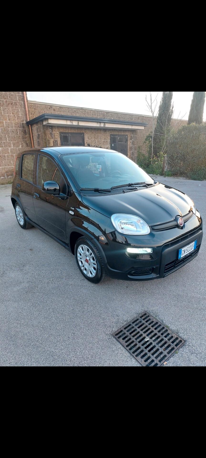 Fiat Panda 1.2 benzina GPL 78 mila km 2023 prov nord Italia
