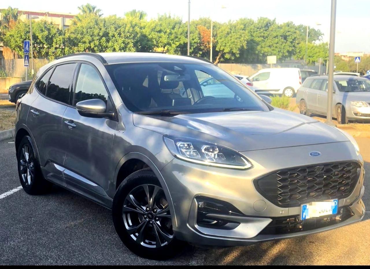 Ford Kuga 1.5 EcoBlue 120 CV 2WD ST-Line X