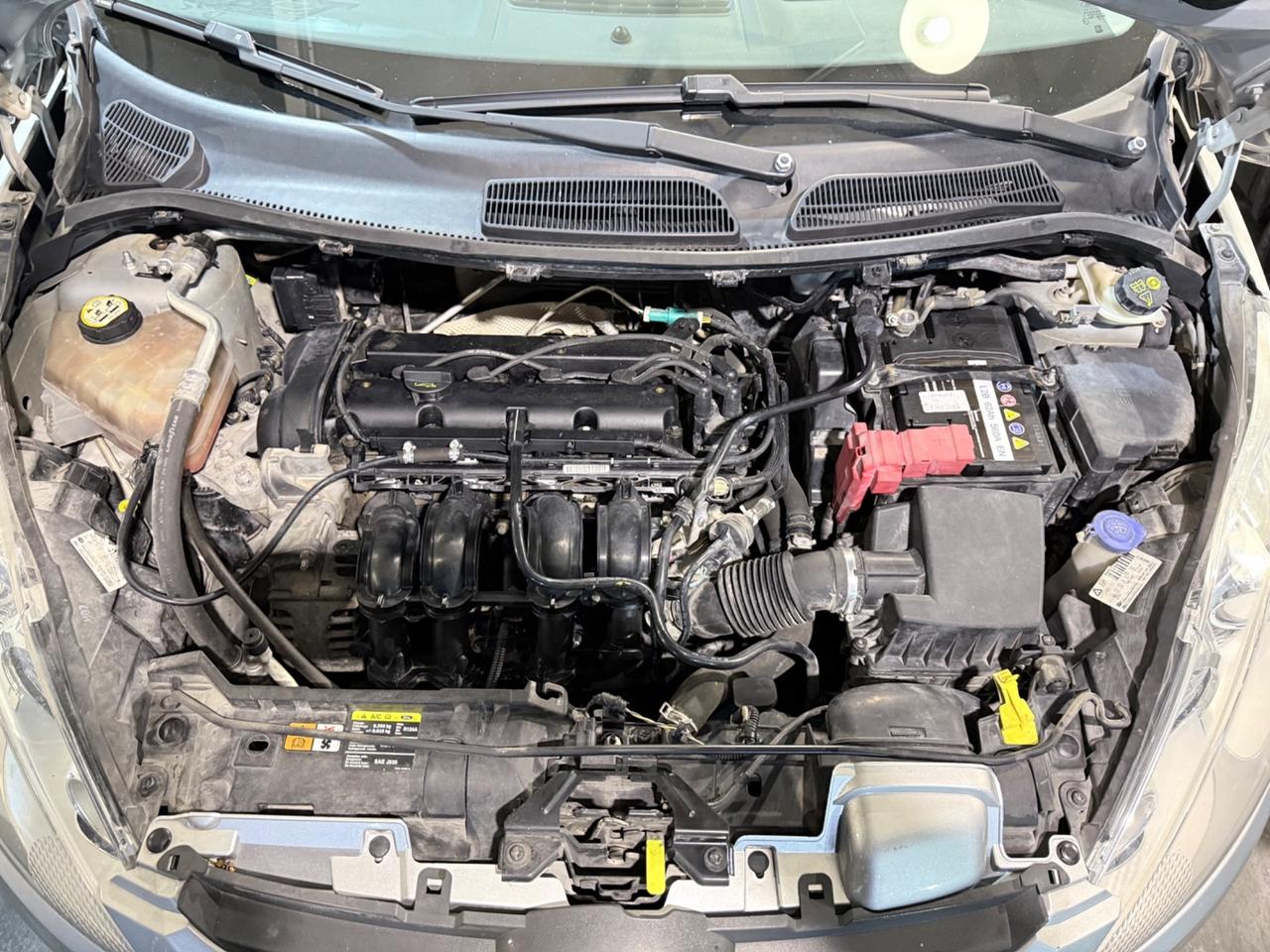 Ford Fiesta 1.2 60CV 3p. Tit.