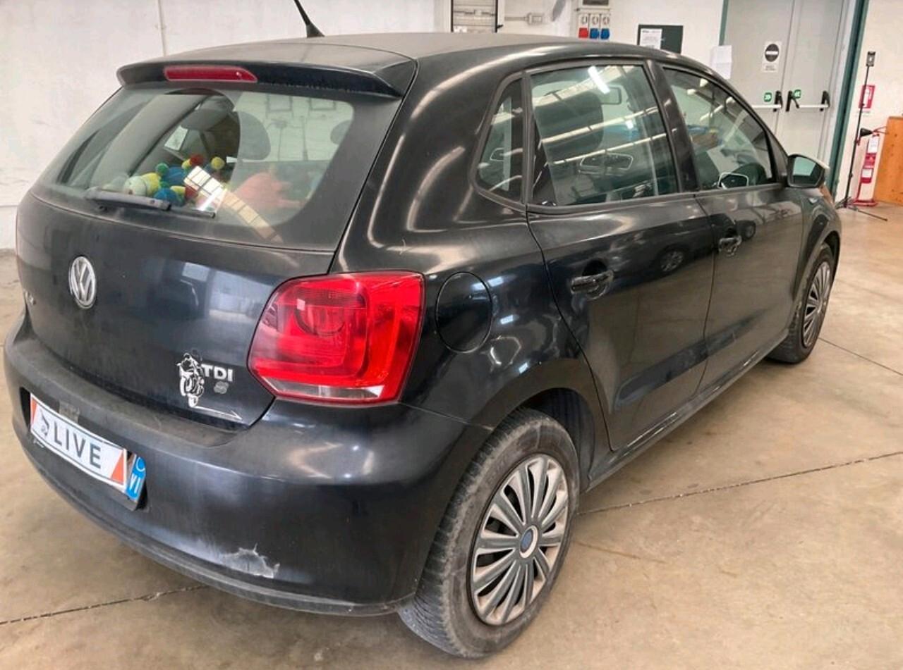 Volkswagen Polo 1.6 TDI 90CV DPF 5 p OK NEOPATENTATI.