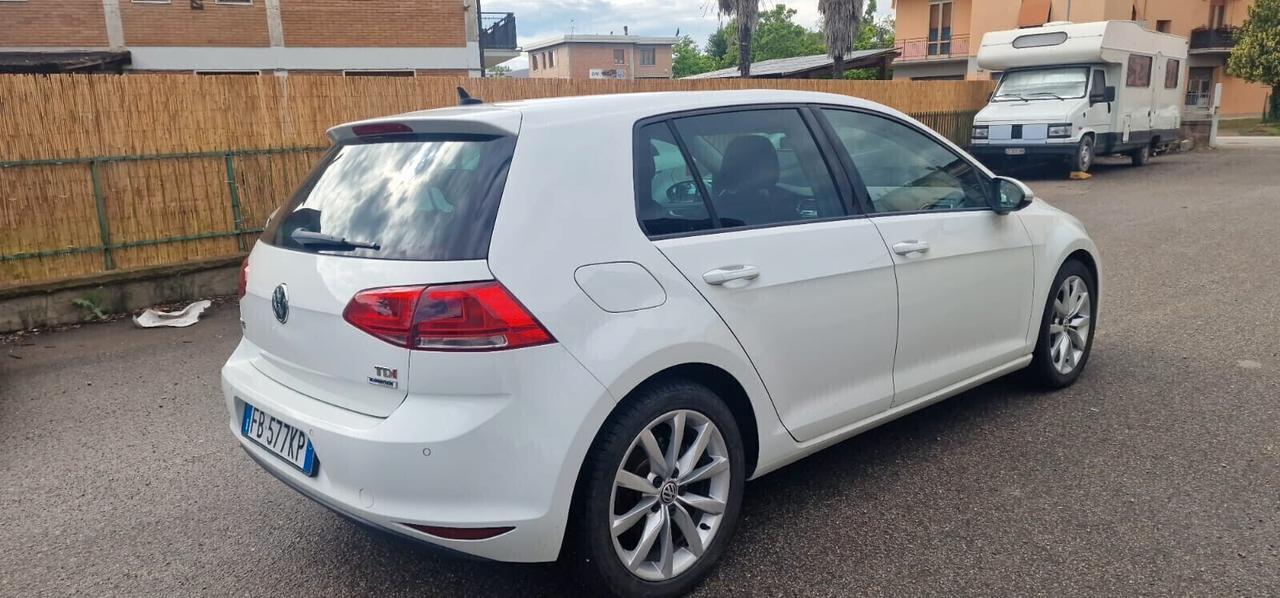 Volkswagen Golf 1.6 TDI 110 CV 5p. Executive BlueMotion Technology