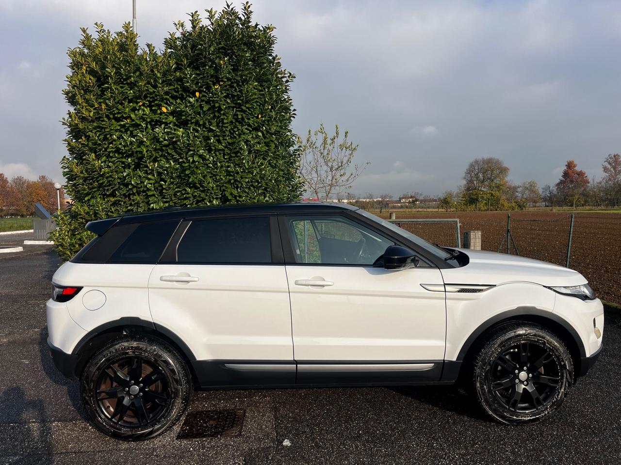 Land Rover Range Evoque 2.2 TD4 5p. Pure Tech Pack Launch Edition