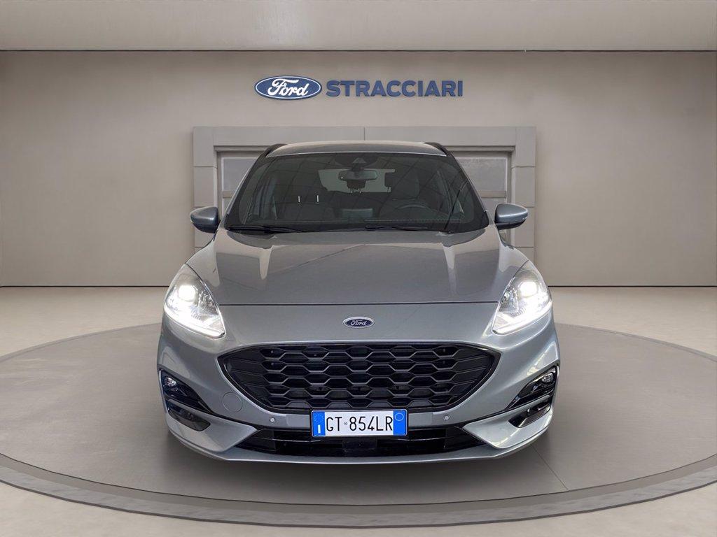 FORD Kuga 2.0 ecoblue ST-Line 2wd 120cv auto del 2024