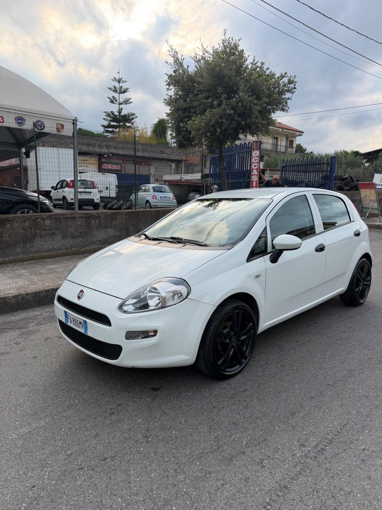 Fiat Punto 1.3 MJT II 75 CV 5 porte Street