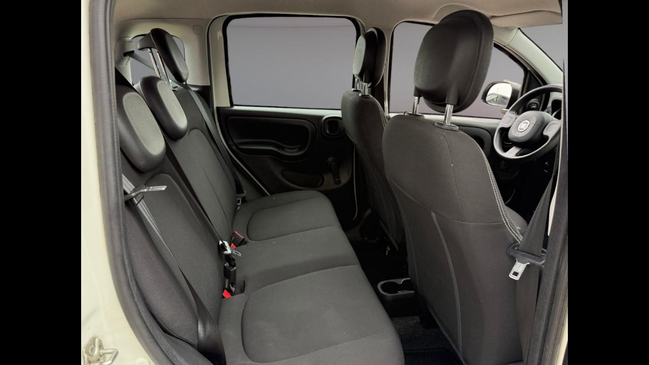 FIAT Panda III 2021 - Panda 1.0 firefly hybrid s&s 70cv 5p.ti