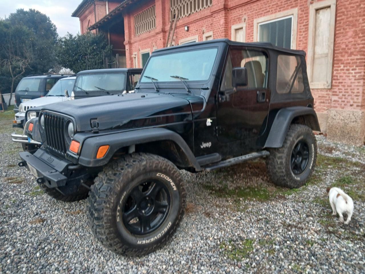 Jeep Wrangler 2.5 cat Sport