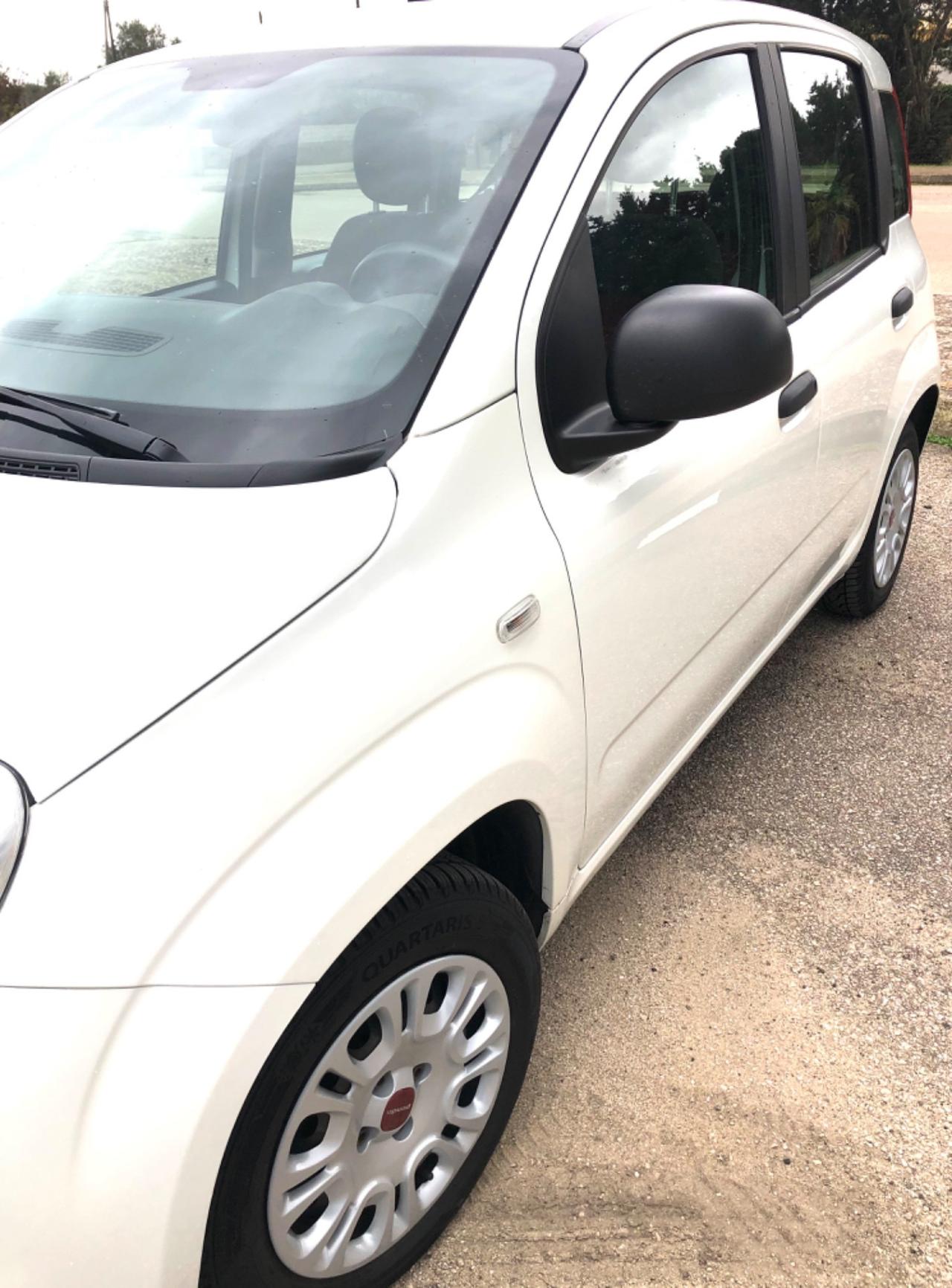 Fiat Panda 1.2 Easy