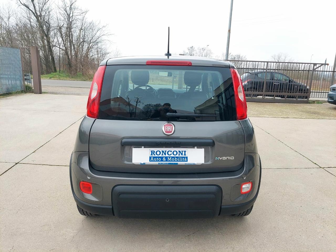 FIAT Panda 1.0 FireFly S&S Hybrid 5 posti - 2023