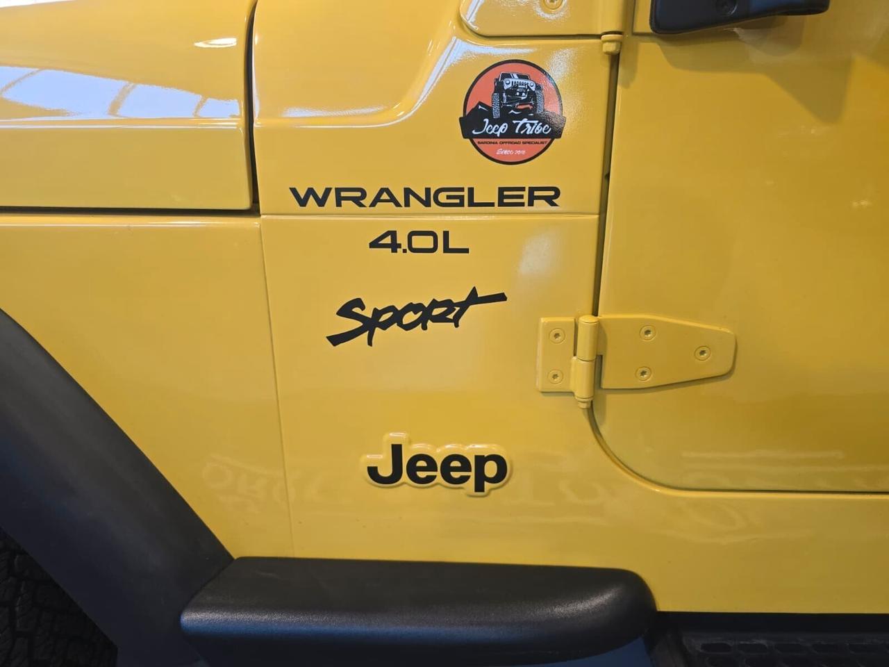 Jeep Wrangler 4.0 cat Sport